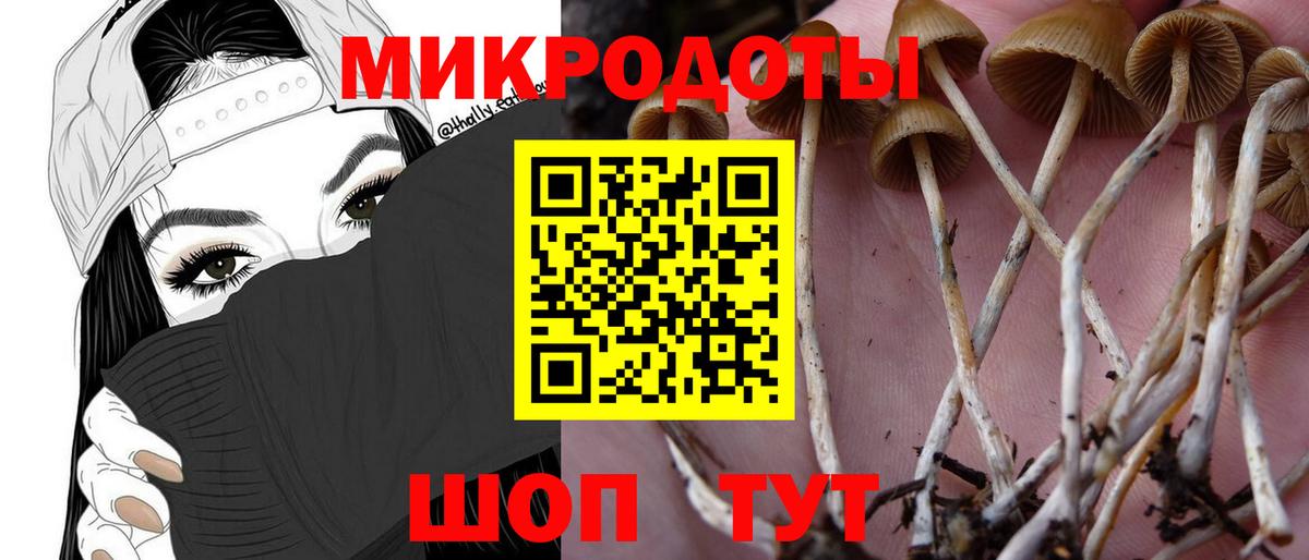 Галлюциногенные грибы ЛСД  Вход с VPN  Псилоцибиновые грибы Psilocybine cubensis  как найти закладки  Воркута 